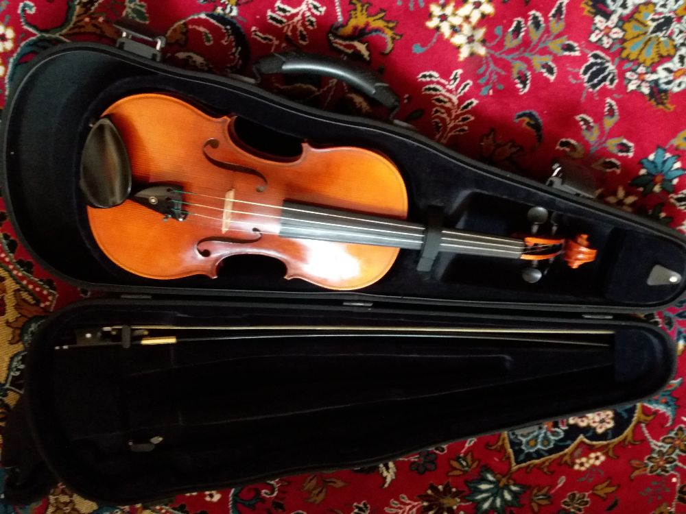Violin ویولن ویالن