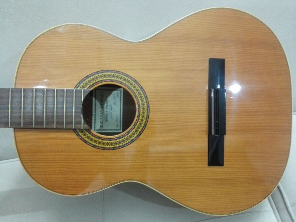گیتار آنتونی سانچز۱۰۰۵