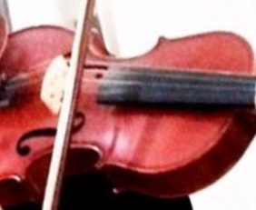 ويولون