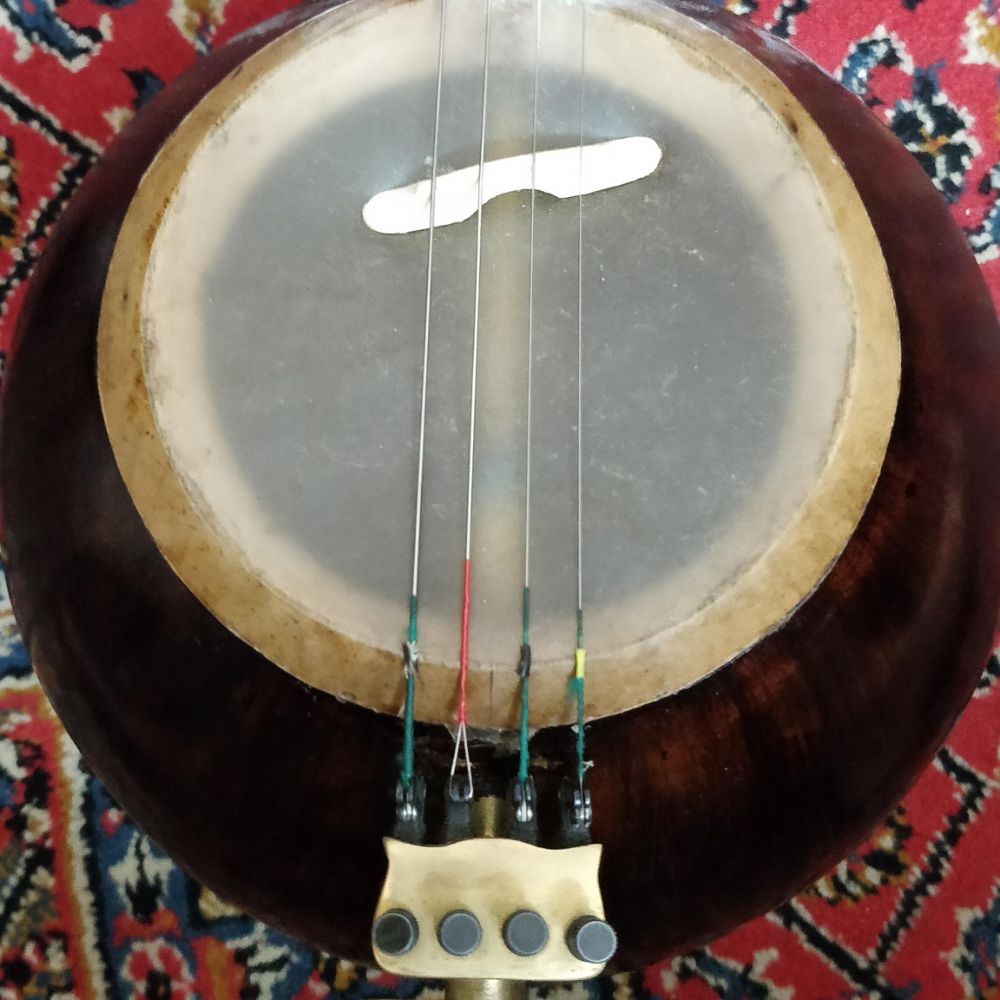 کمانچه ژاله