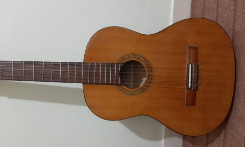 گیتار هافنر مدل ۲۰۴