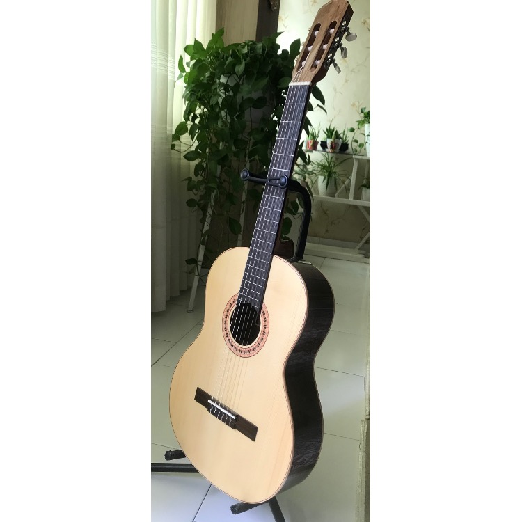 گیتار مانوئل رودریگز C10 نو