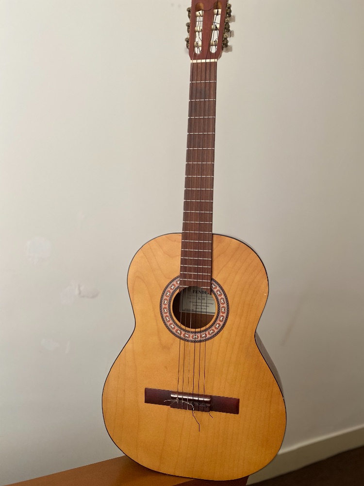 گیتار sl-35