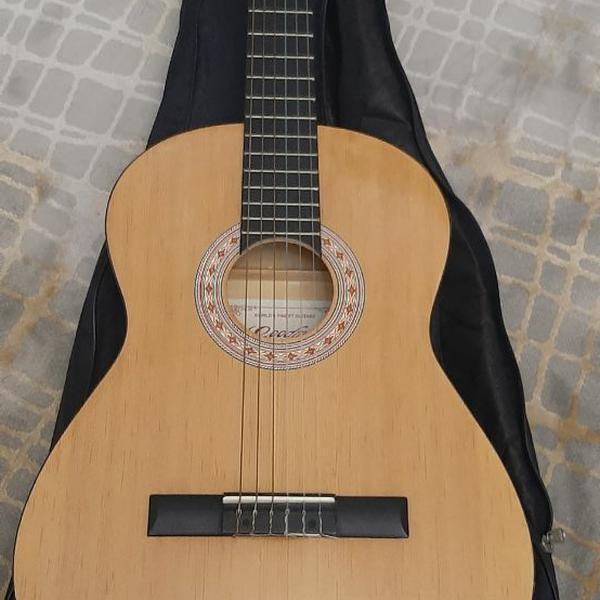 گیتار خوش صدای گودمن