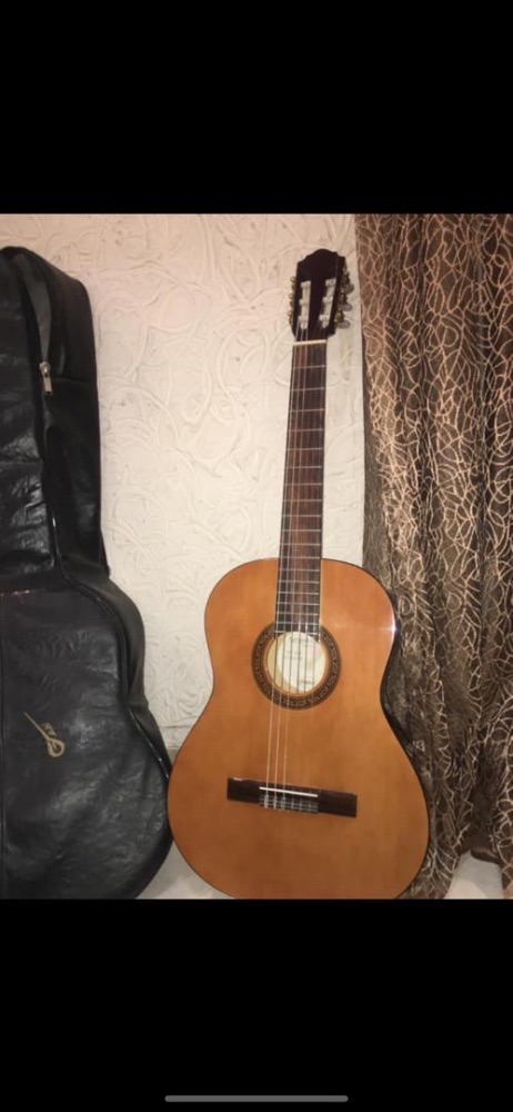 گیتار هافنر ۲۰۴