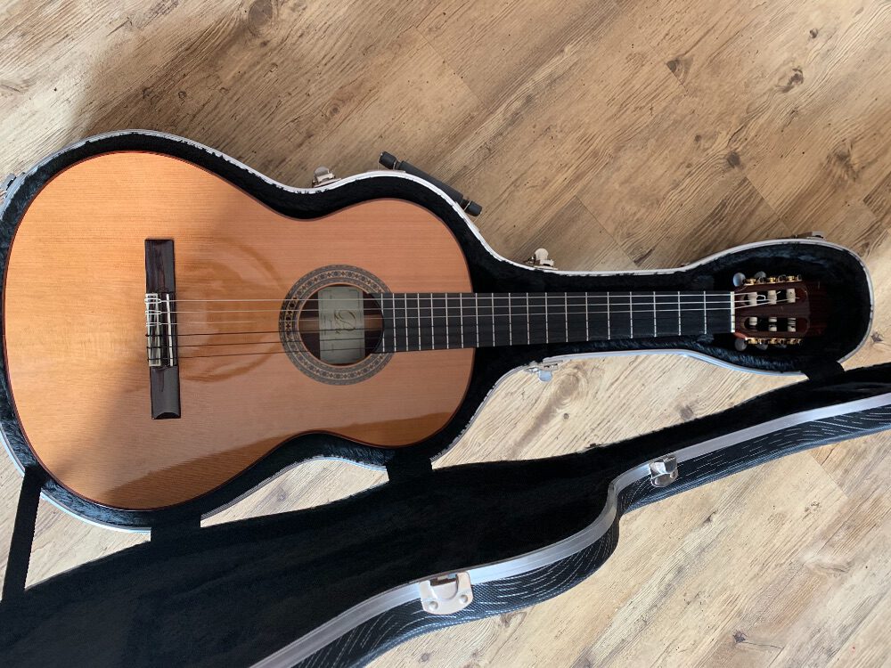 guitar perez650