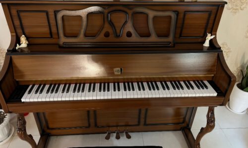 پیانو پا دیواری دیجیتال برگ مولر مدل ۱۱۰۰