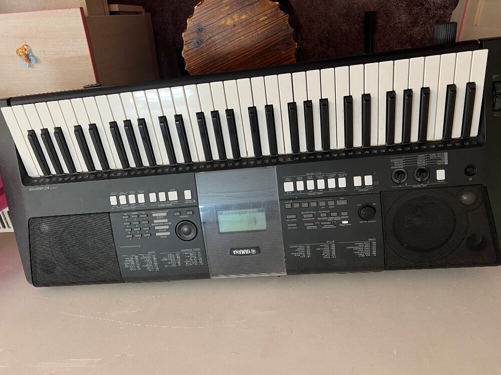 ارگ yamaha e423
