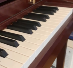 پیانو کاوایی در حد نو فروش به علت مهاجرت